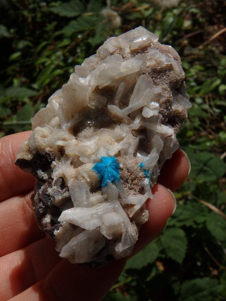 Electric Blue Cavansite on Heulandite Matrix From India1 - Earth Family Crystals