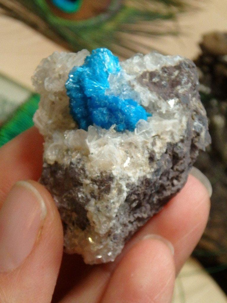 Electric Blue Cavansite On Matrix 2 - Earth Family Crystals