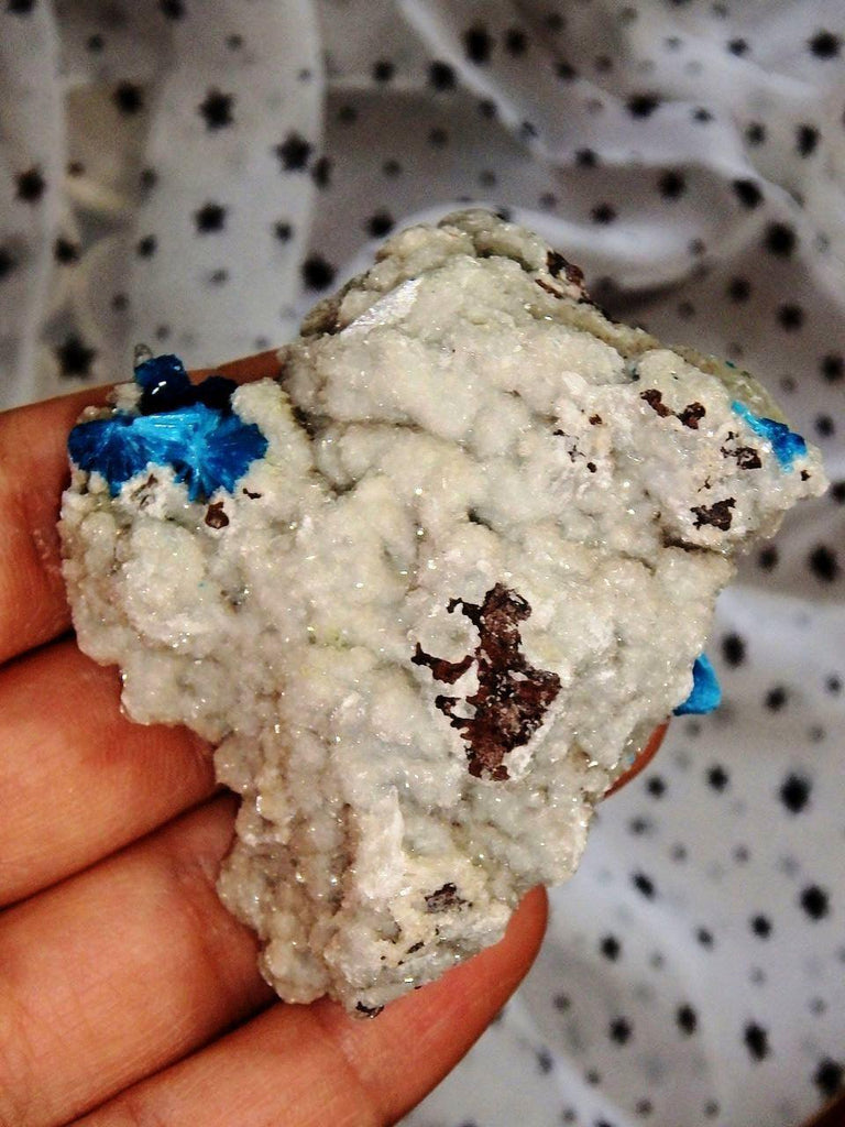 Amazing Electric Blue Cavansite Clusters on Sparkly Druzy Matrix From India - Earth Family Crystals