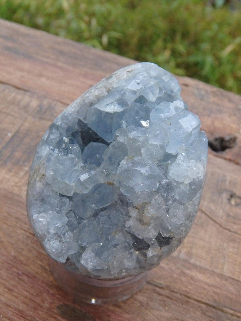 Pretty Blue Druzy Sparkles Celestite Geode Egg Specimen - Earth Family Crystals