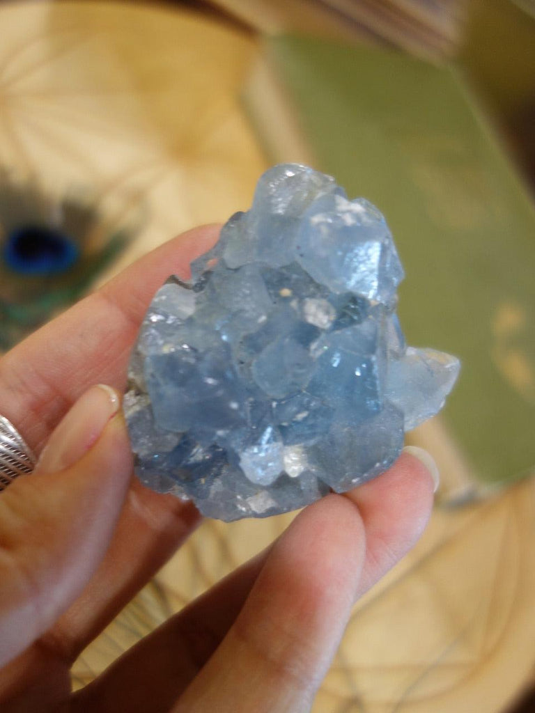 Sparkling Sky Blue Druzy Celestite Specimen - Earth Family Crystals