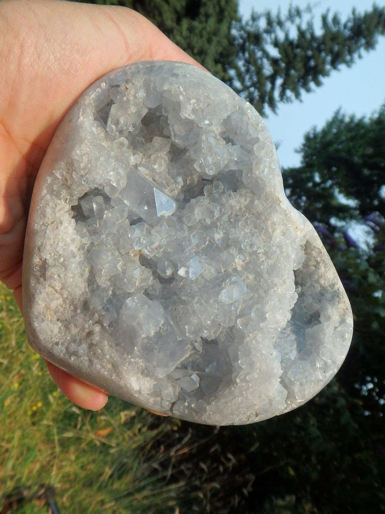 Gorgeous Druzy Soft Blue Sparkle & Caves XL Celestite Heart Geode Carving - Earth Family Crystals