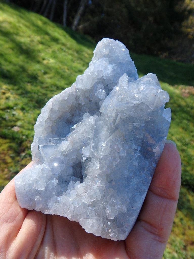 Sky Blue Self Standing Natural Celestite Druzy Display Specimen - Earth Family Crystals