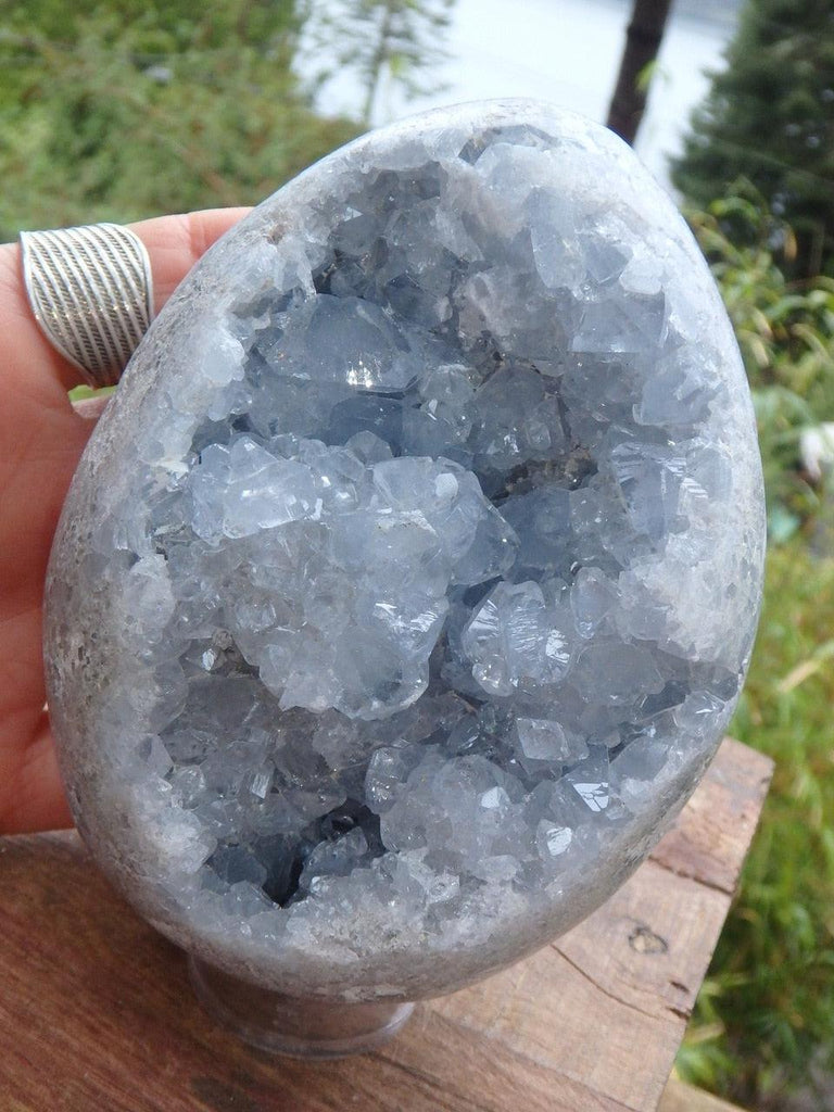 XL Incredible Blue Druzy & Sparkle Celestite Geode Egg From Madagascar 2 - Earth Family Crystals