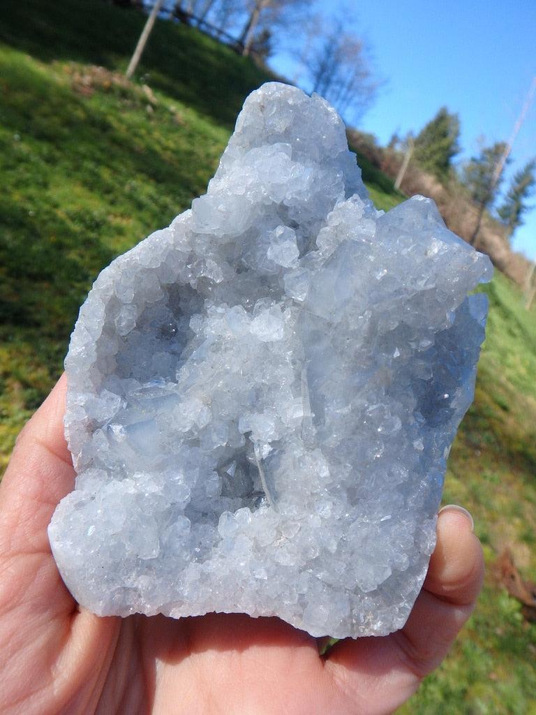 Sky Blue Self Standing Natural Celestite Druzy Display Specimen - Earth Family Crystals