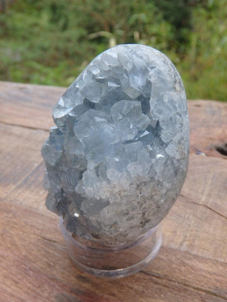 Pretty Blue Druzy Sparkles Celestite Geode Egg Specimen - Earth Family Crystals