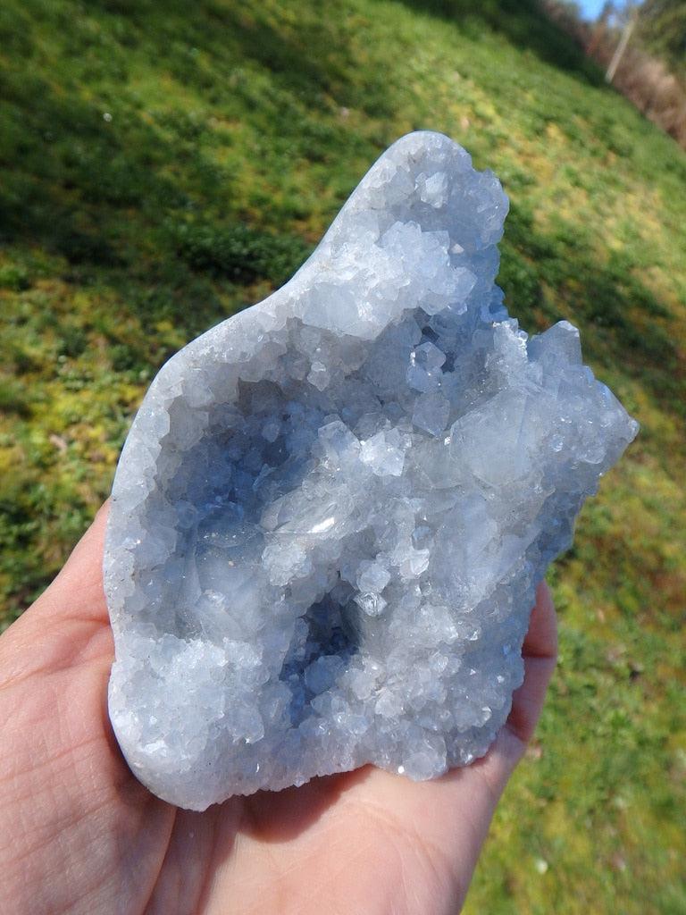 Sky Blue Self Standing Natural Celestite Druzy Display Specimen - Earth Family Crystals