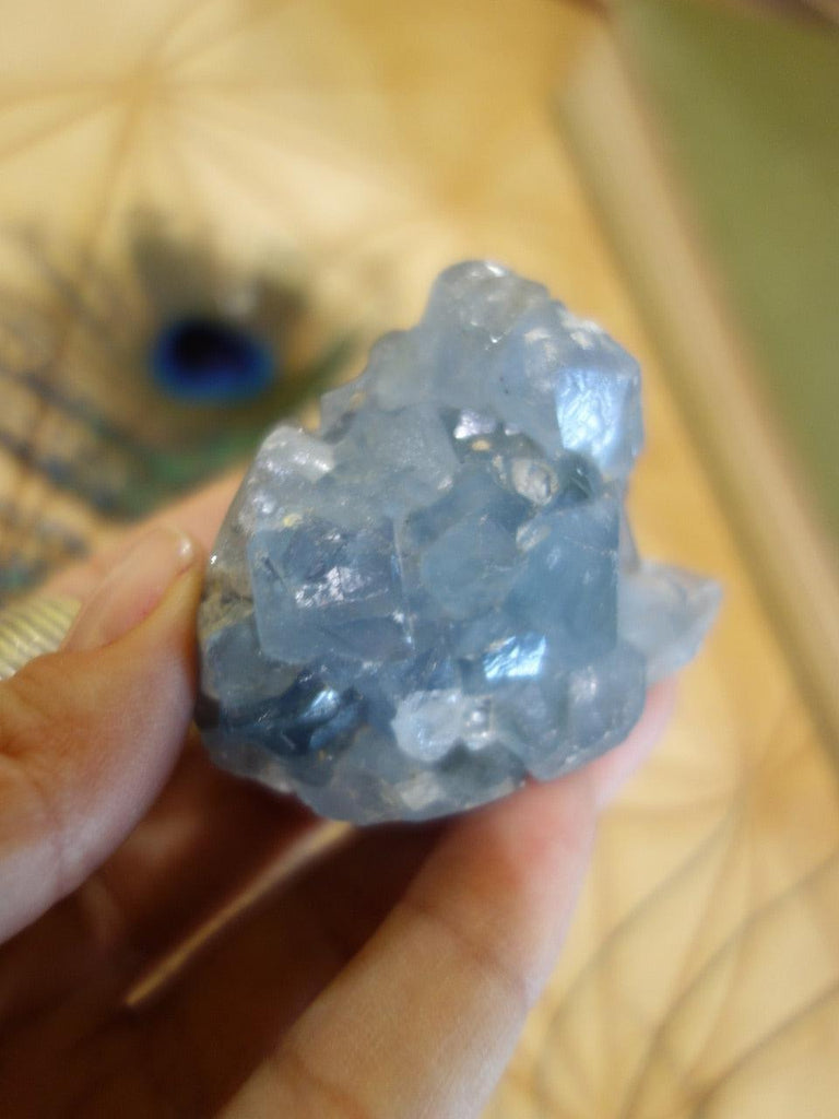 Sparkling Sky Blue Druzy Celestite Specimen - Earth Family Crystals