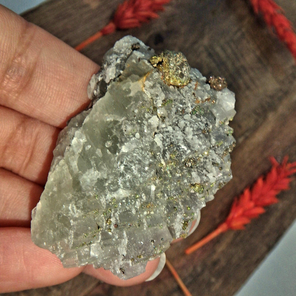 Dusting of Chalcopyrite Druzy On Green Fluorite Matrix - Earth Family Crystals