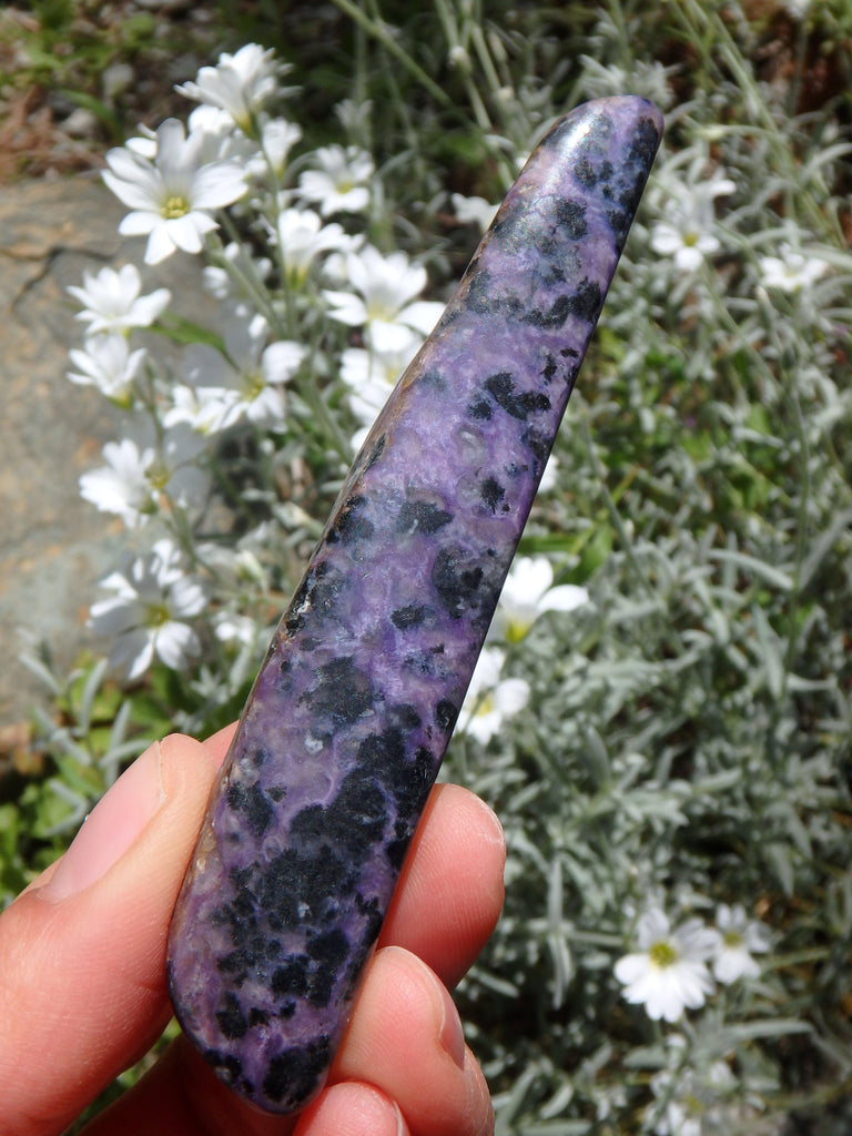 Long Deep Purple Charoite Specimen Ideal for Energy Work - Earth Family Crystals