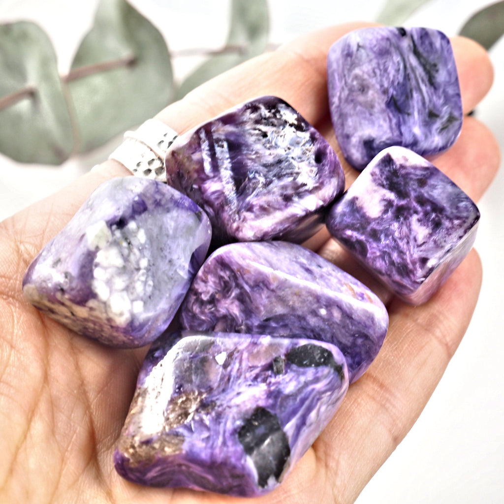 One Gorgeous Deep Purple Charoite Tumbled Pocket Stone - Earth Family Crystals