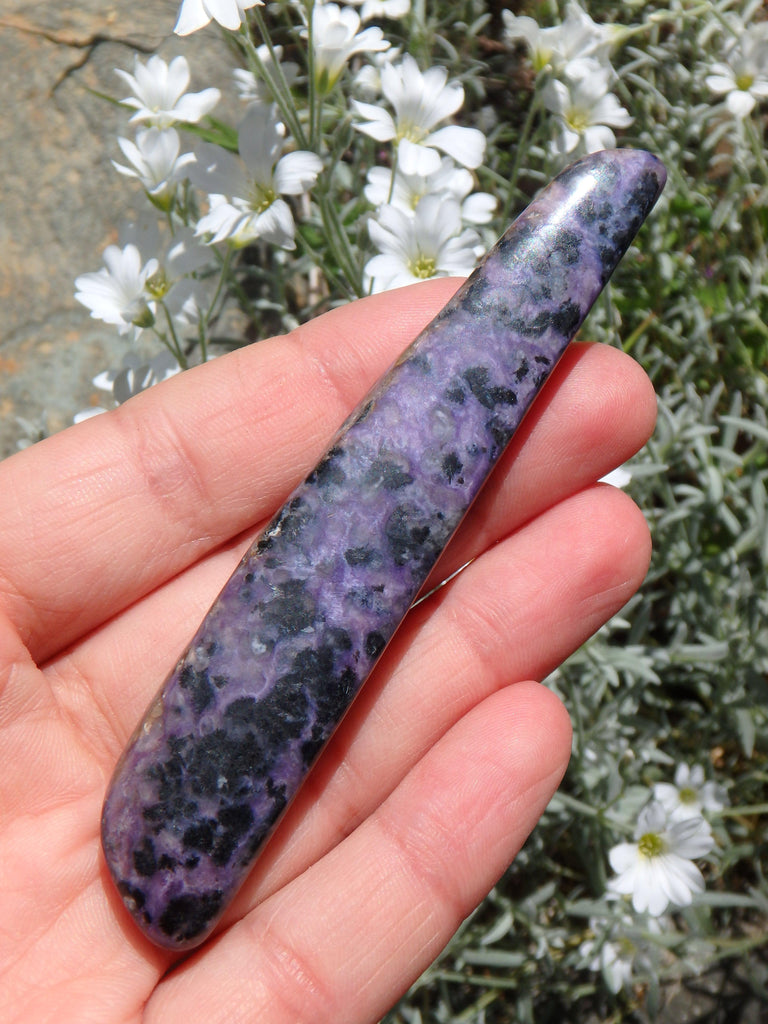 Long Deep Purple Charoite Specimen Ideal for Energy Work - Earth Family Crystals