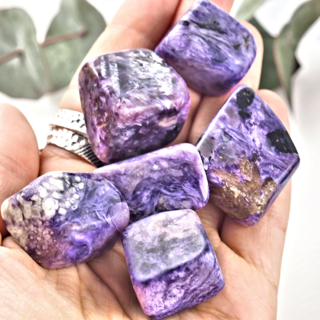 One Gorgeous Deep Purple Charoite Tumbled Pocket Stone - Earth Family Crystals