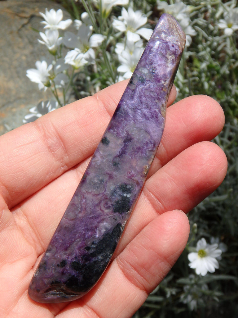 Long Deep Purple Charoite Specimen Ideal for Energy Work - Earth Family Crystals