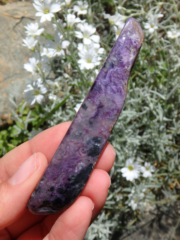 Long Deep Purple Charoite Specimen Ideal for Energy Work - Earth Family Crystals