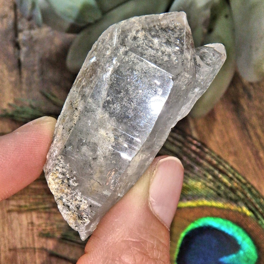 Brilliant Sheen Chlorite Included Mother & Babe Quartz Point Unpolished From Brazil - Earth Family Crystals