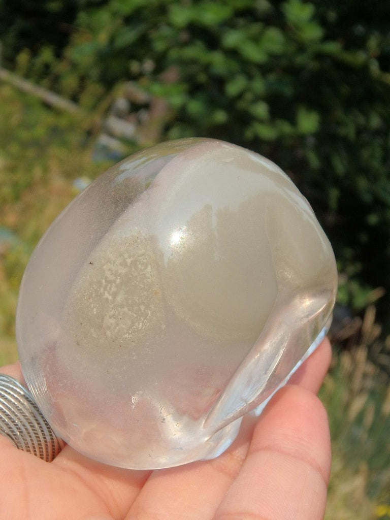 Unusual Cloud of Chlorite Clear Quartz Skull Carving - Earth Family Crystals