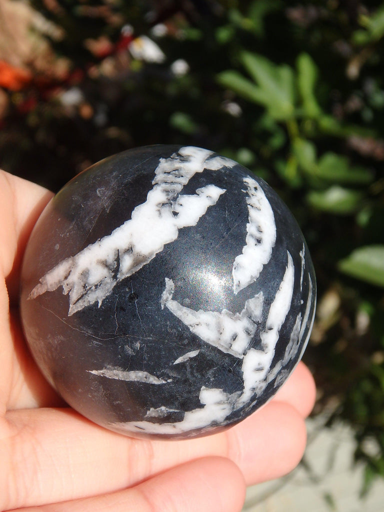 Unique Chrysanthemum Stone Sphere Carving - Earth Family Crystals