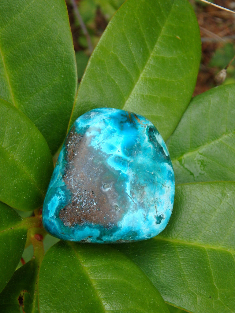 Beautiful Robin Egg Blue Chrysocolla Palm Stone From Peru - Earth Family Crystals
