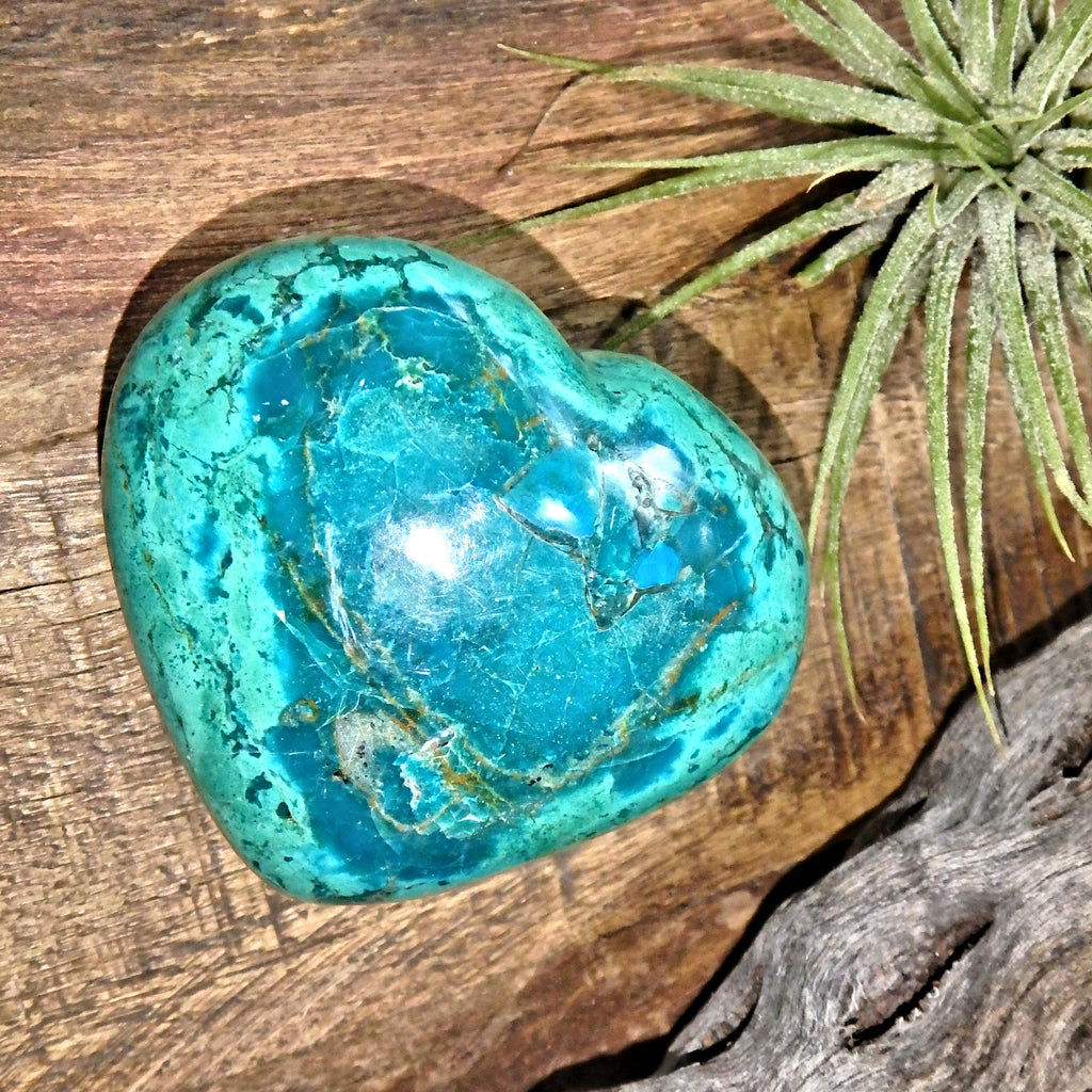 Stunning Green & Blue Patterns  Chrysocolla Love Heart Carving 1 - Earth Family Crystals