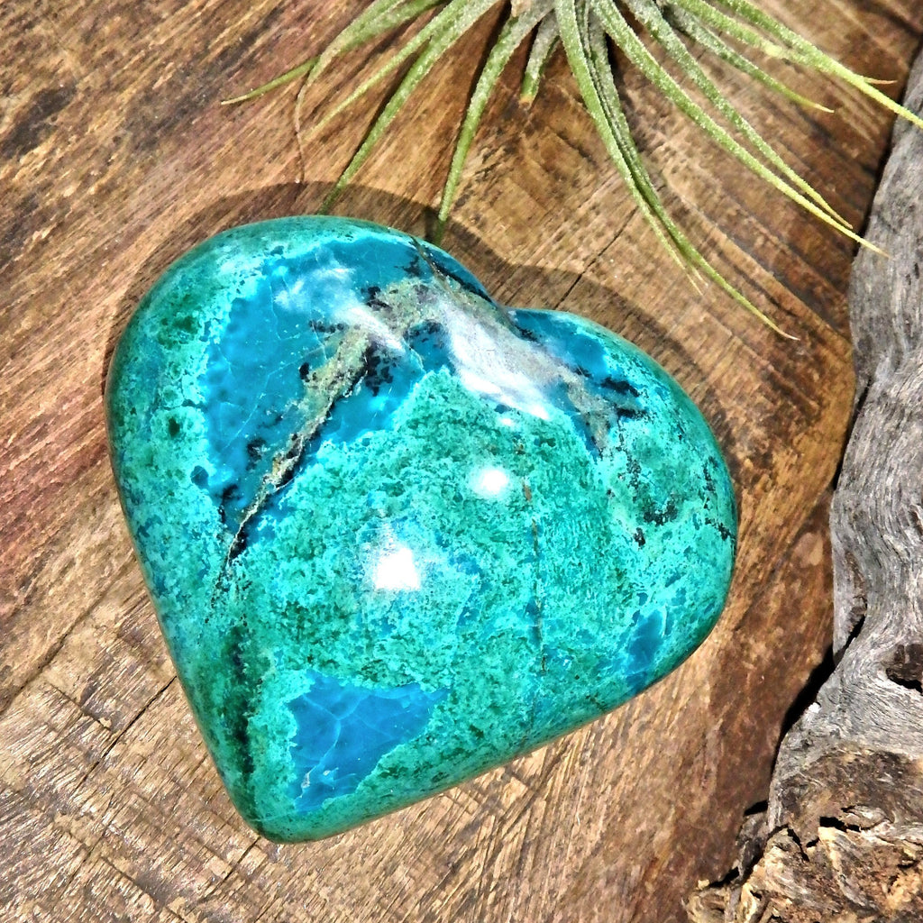 Delightful Green & Blue Chrysocolla Love Heart Carving 1 - Earth Family Crystals