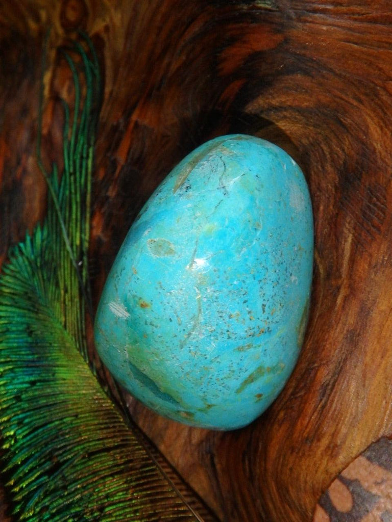 Sweet Blue Chrysocolla Palm Stone - Earth Family Crystals