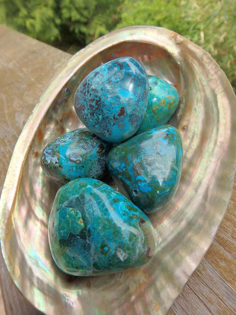 Vibrant Robin Egg Blue Chrysocolla Hand Held Specimen (1) - Earth Family Crystals