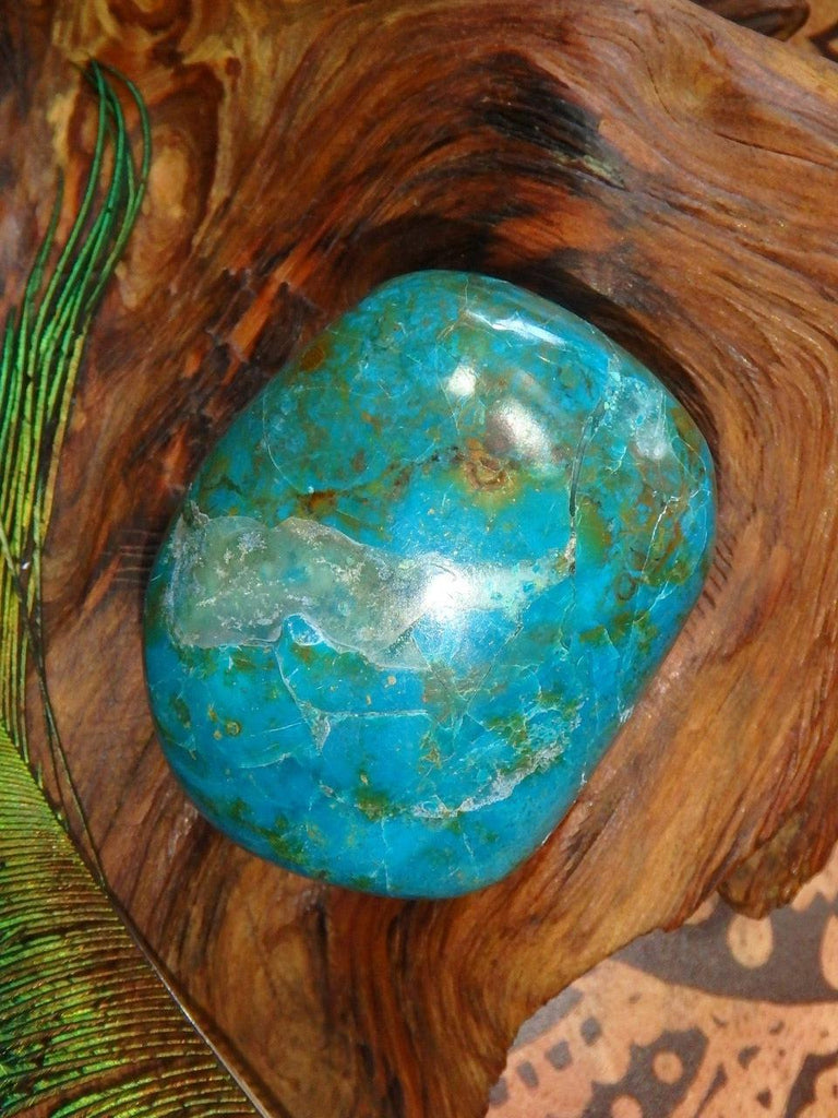Spring Dreams~ Robin Egg Blue Chrysocolla Specimen - Earth Family Crystals