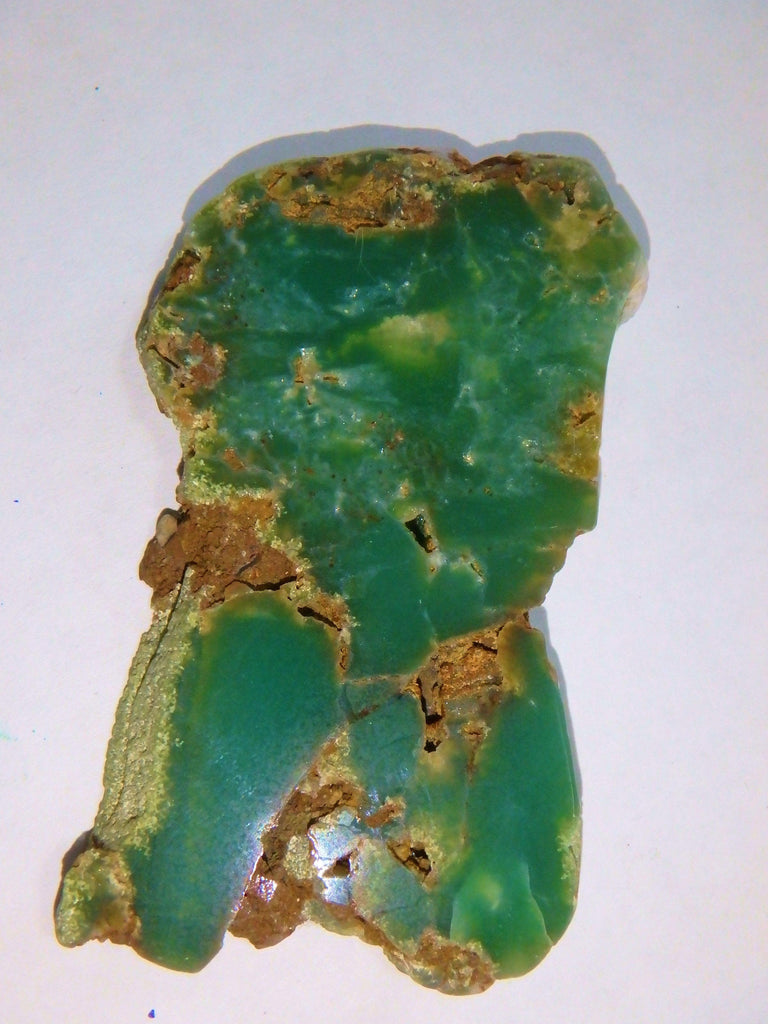 Australian Deep Green Chrysoprase Free Form Partially Polished Slice - Earth Family Crystals
