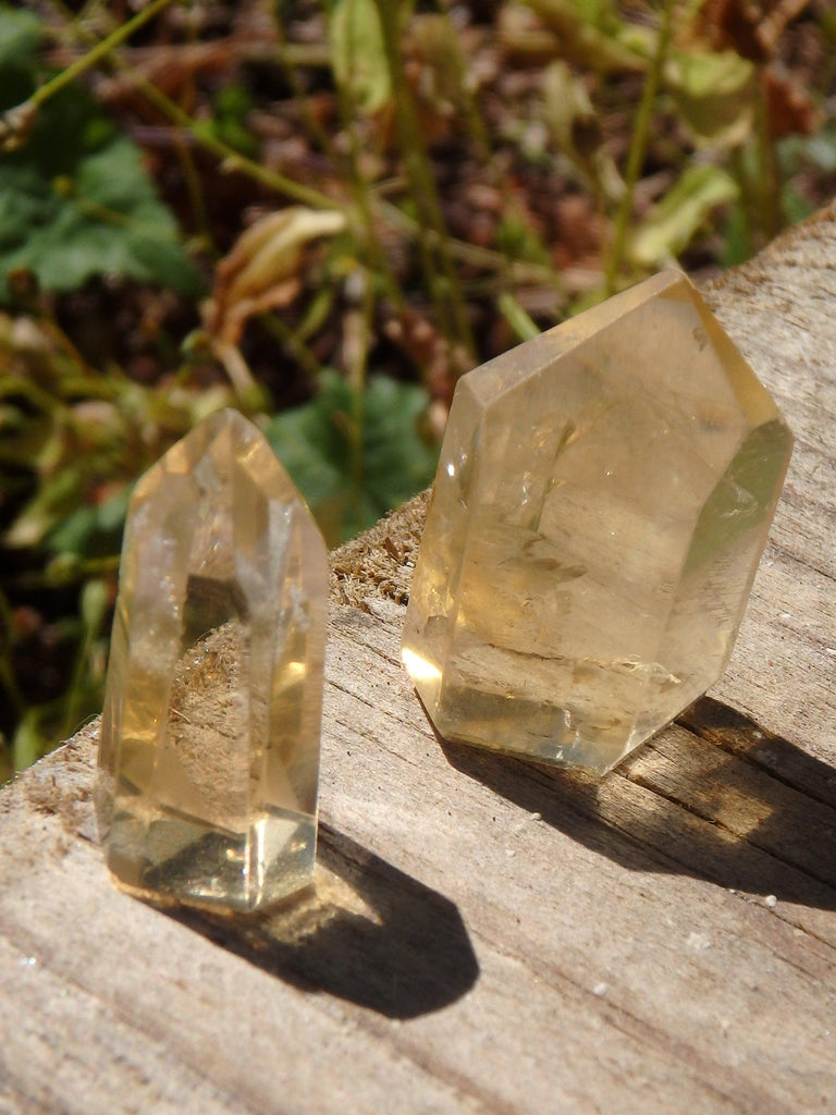 Set of 2~Gorgeous Natural Citrine Mini Polished Standing Generators - Earth Family Crystals