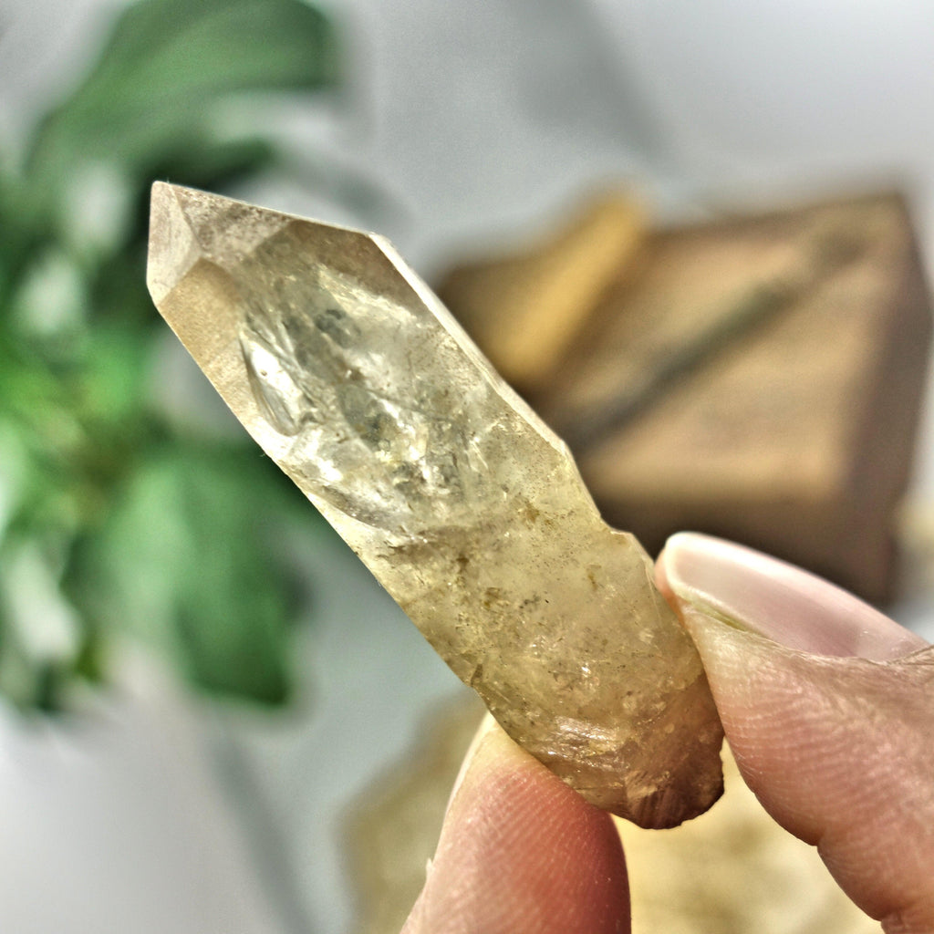 Natural Dainty Citrine Point from The Congo - Earth Family Crystals
