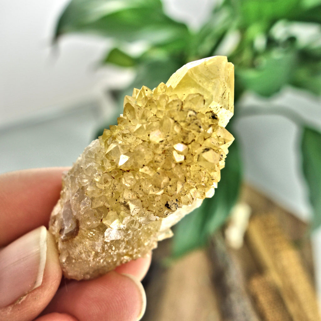 Sparkling Natural Golden Citrine Spirit Quartz Point From South Africa3 - Earth Family Crystals