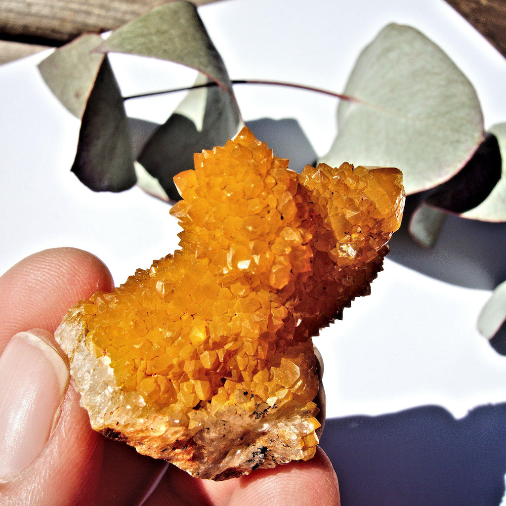 Sparkling Natural Golden Citrine Spirit Quartz From South Africa - Earth Family Crystals