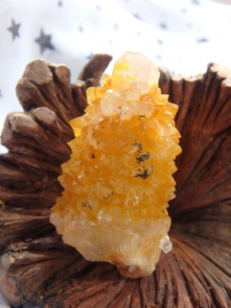 Cute Natural Golden Sparkle Citrine Spirit Quartz Point From South Africa - Earth Family Crystals