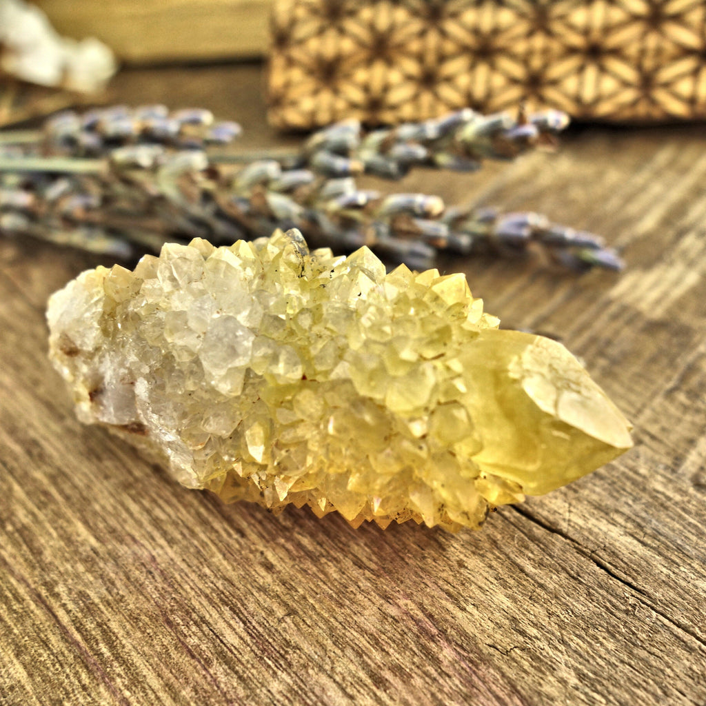 Sparkling Natural Golden Citrine Spirit Quartz Point From South Africa3 - Earth Family Crystals