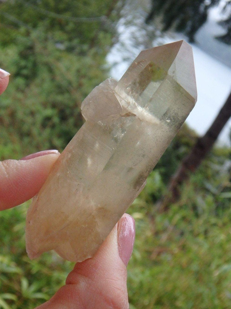 Completely Natural Citrine Point Specimen - Earth Family Crystals