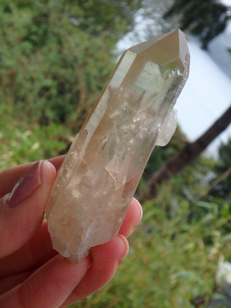 Completely Natural Citrine Point Specimen - Earth Family Crystals