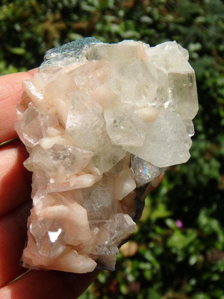 Brilliant Green & Clear Apophyllite Points Nestled With Pink Stilbite on Matrix From India - Earth Family Crystals