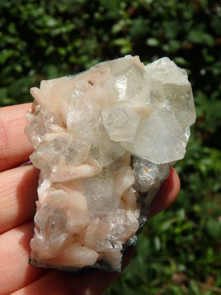 Brilliant Green & Clear Apophyllite Points Nestled With Pink Stilbite on Matrix From India - Earth Family Crystals