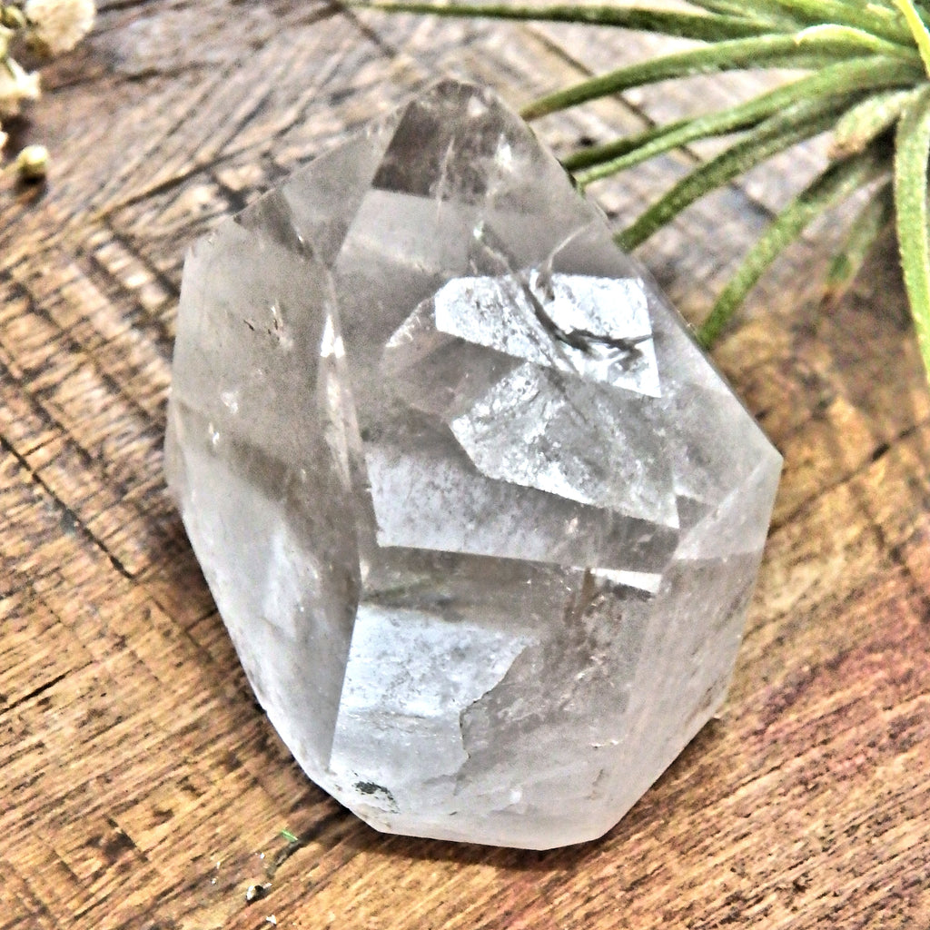 Inner Child Penetrator Point Clear Quartz Standing Generator From Brazil 2 - Earth Family Crystals