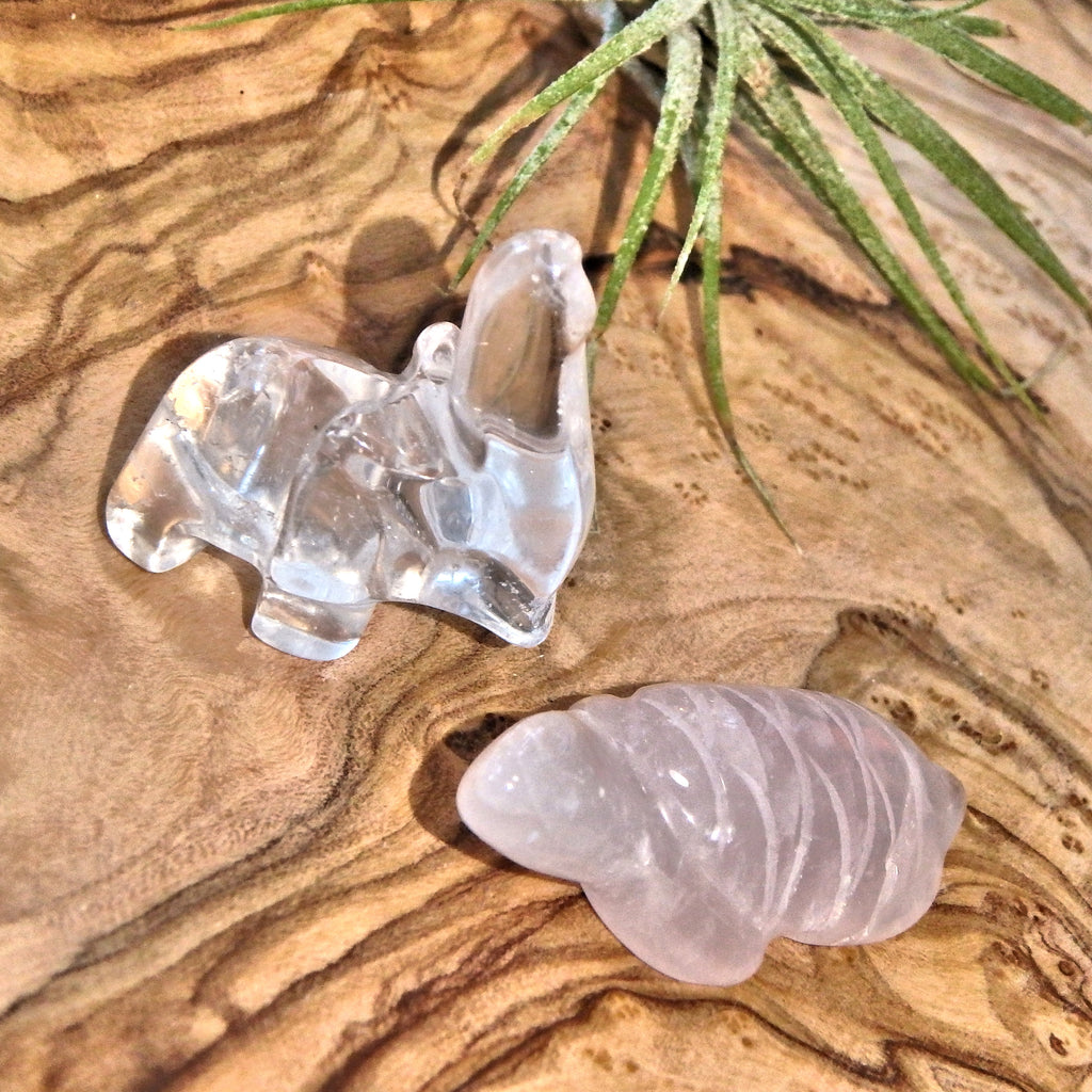 Precious Clear Quartz Elephant & Rose Quartz Turtle Set - Earth Family Crystals