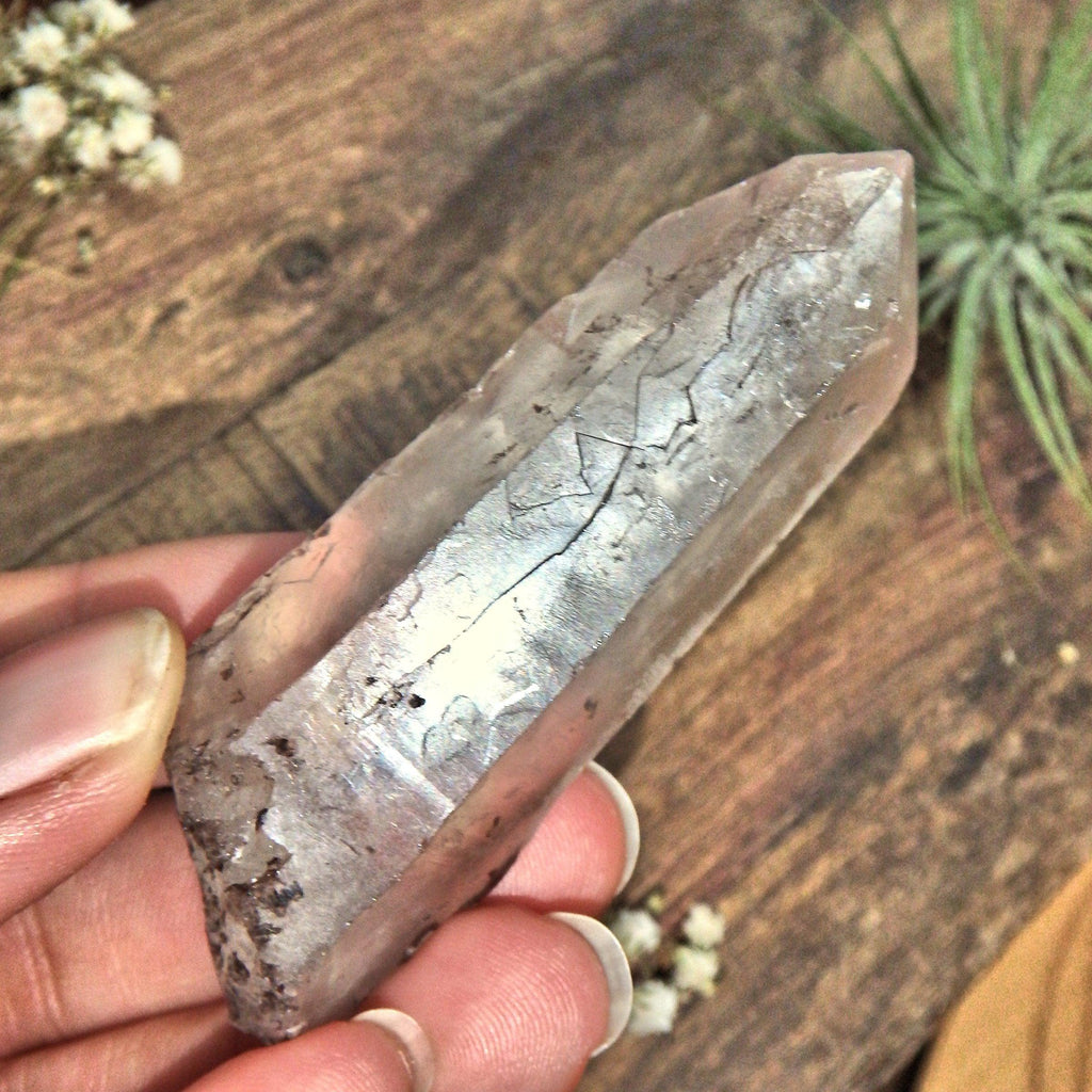 Brazilian Natural Clear Quartz Point With Inclusions - Earth Family Crystals