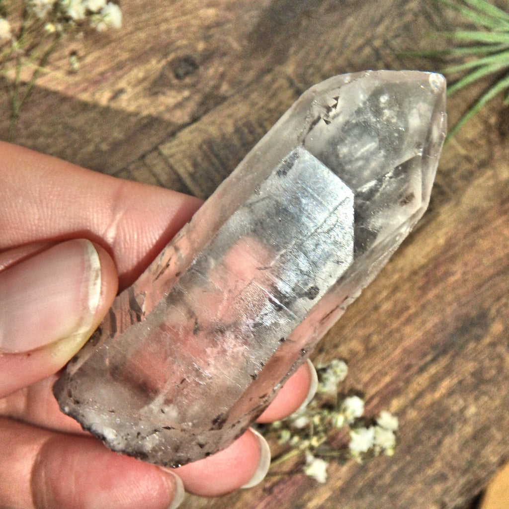 Brazilian Natural Clear Quartz Point With Inclusions - Earth Family Crystals