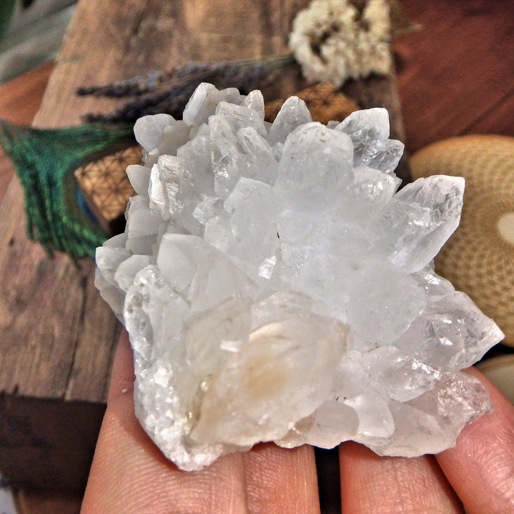 Wonderful Clear Quartz Cluster From India 8 - Earth Family Crystals