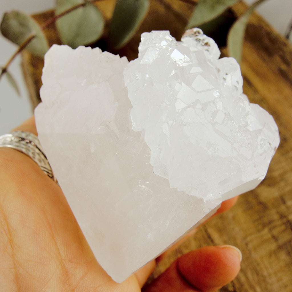 Incredible Self Healed Elestial Clear Quartz Point With Record Keepers From Brazil - Earth Family Crystals