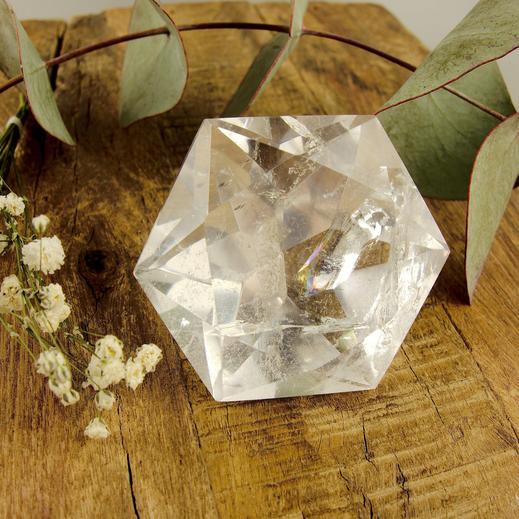 Stunning Large Faceted Diamond Cut Clear Quartz Specimen #2 - Earth Family Crystals