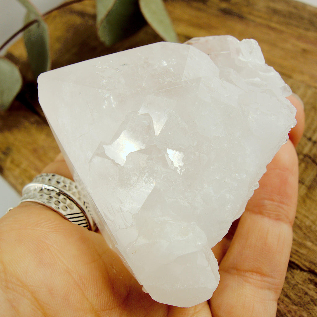 Incredible Self Healed Elestial Clear Quartz Point With Record Keepers From Brazil - Earth Family Crystals