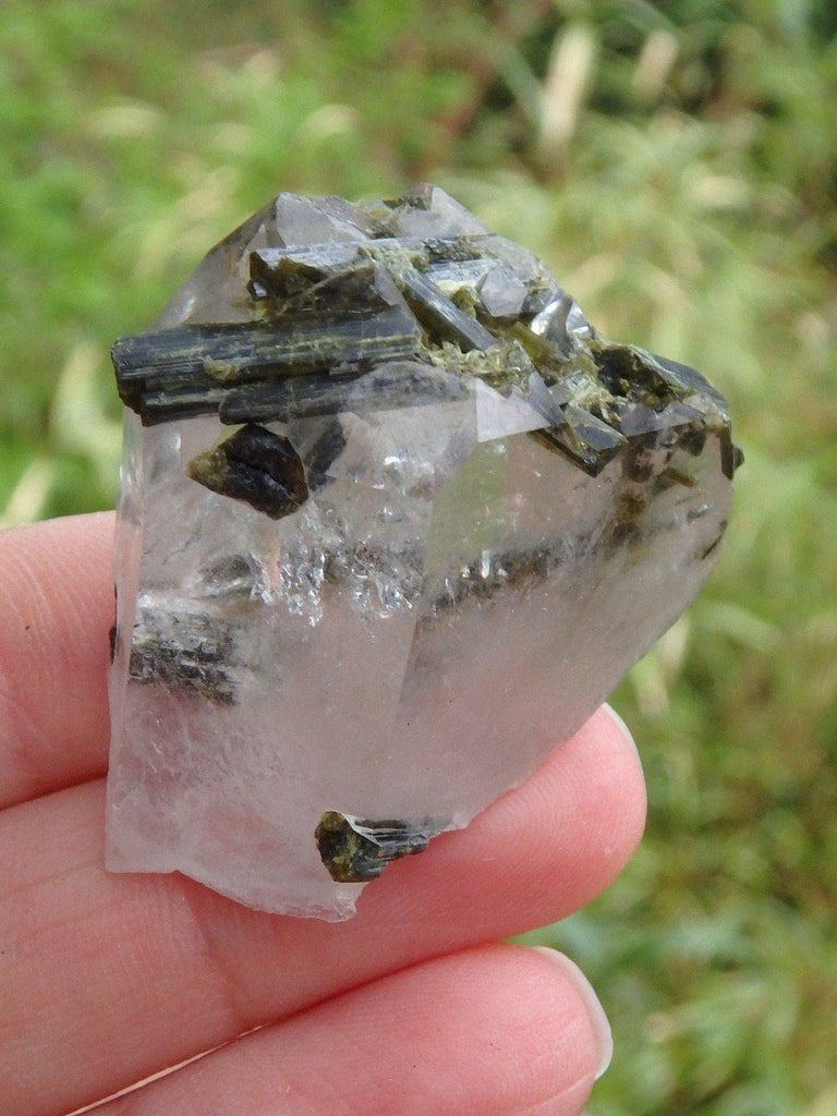 Deep Forest Green Epidot Blades In Brazilian Clear Quartz Specimen - Earth Family Crystals