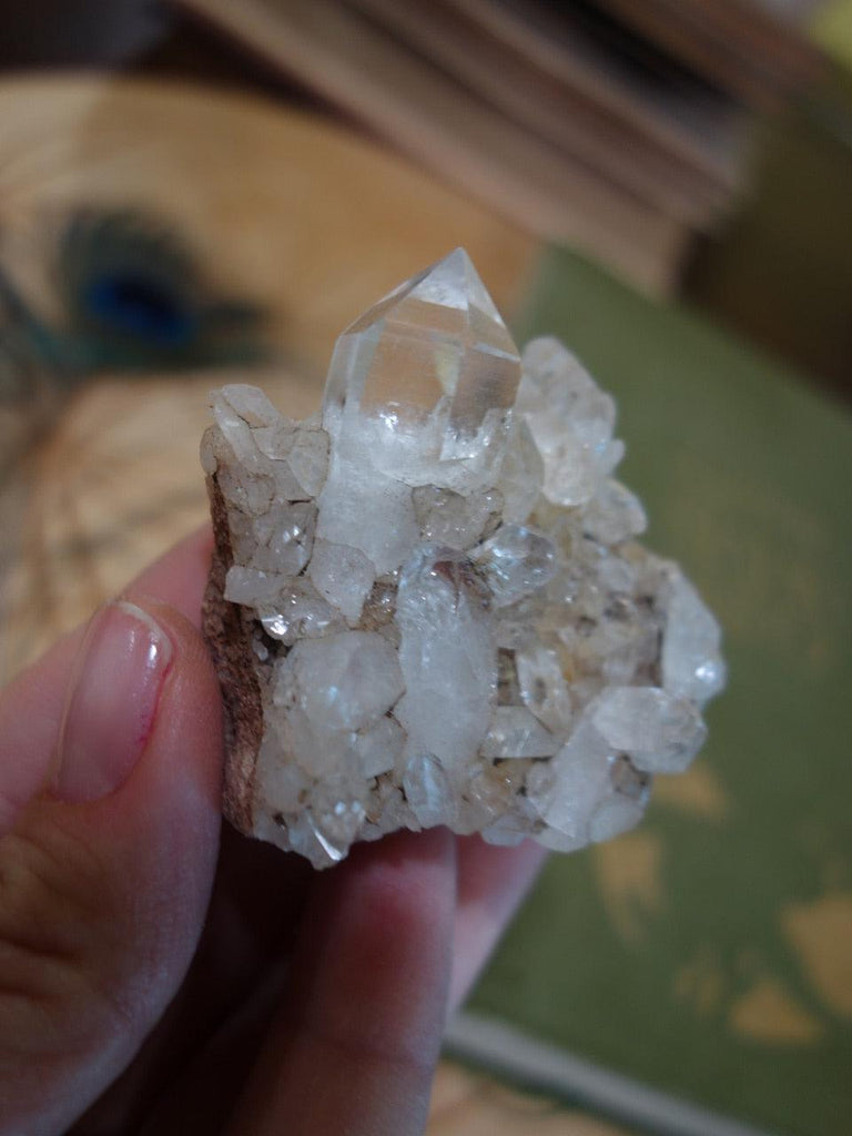 Fantastic Arkansas Clear Quartz Cluster - Earth Family Crystals