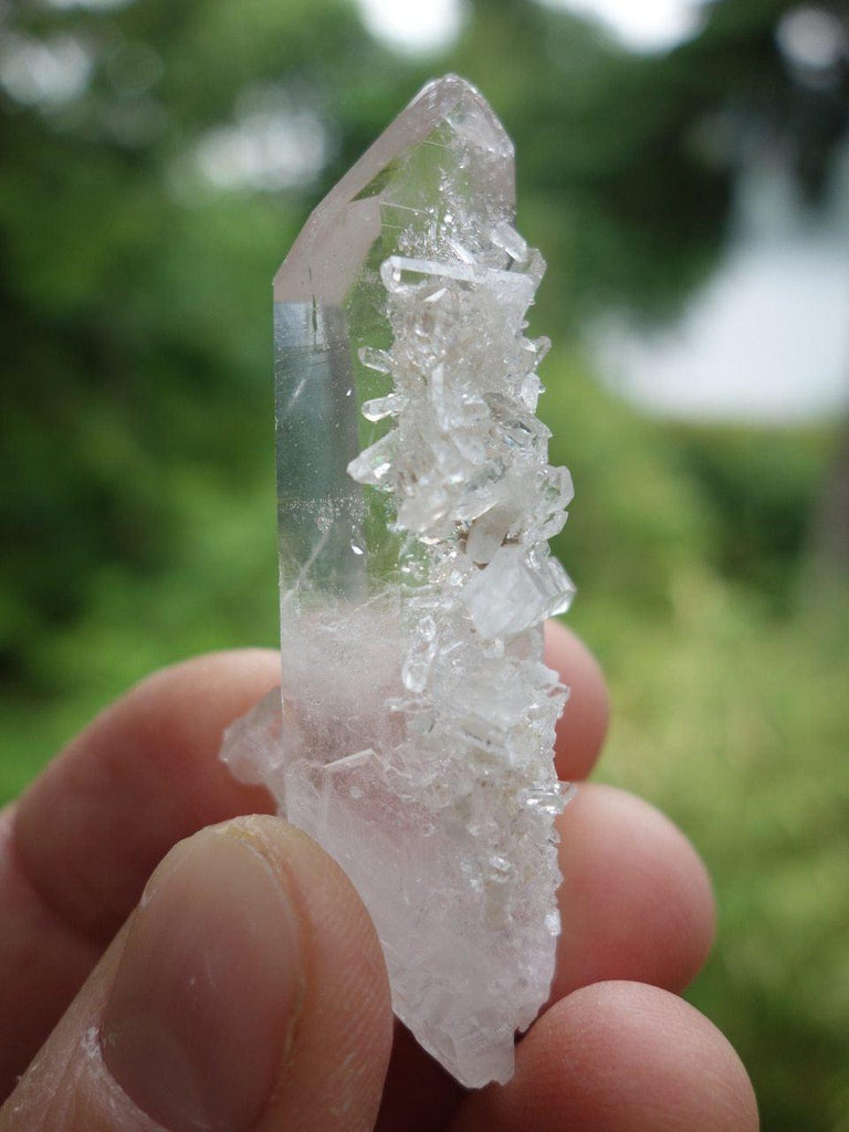 Arkansas Clear Quartz DT & Barnacles High Vibe Point - Earth Family Crystals